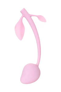 Vişne Mevsimi Orgazm Vajinal Yapılandırıcı Uyarıcı Fantazi Kegel Egzersiz Top